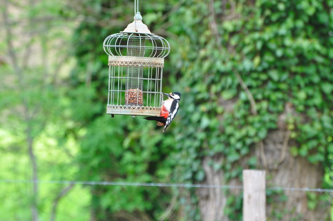 Foto 52 van Van Kluijvelaan 32