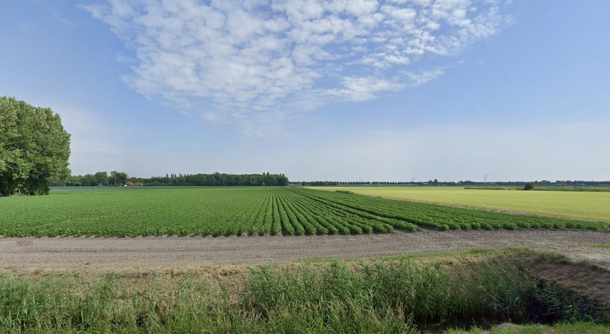 Bekijk foto 4 van Nabij Zuiderweg 6a