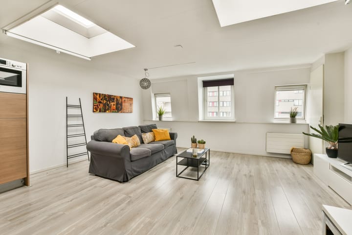 Foto 2 van Ruyschstraat 313-B