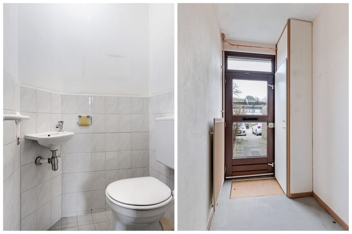 Foto 7 van Raaigras 117