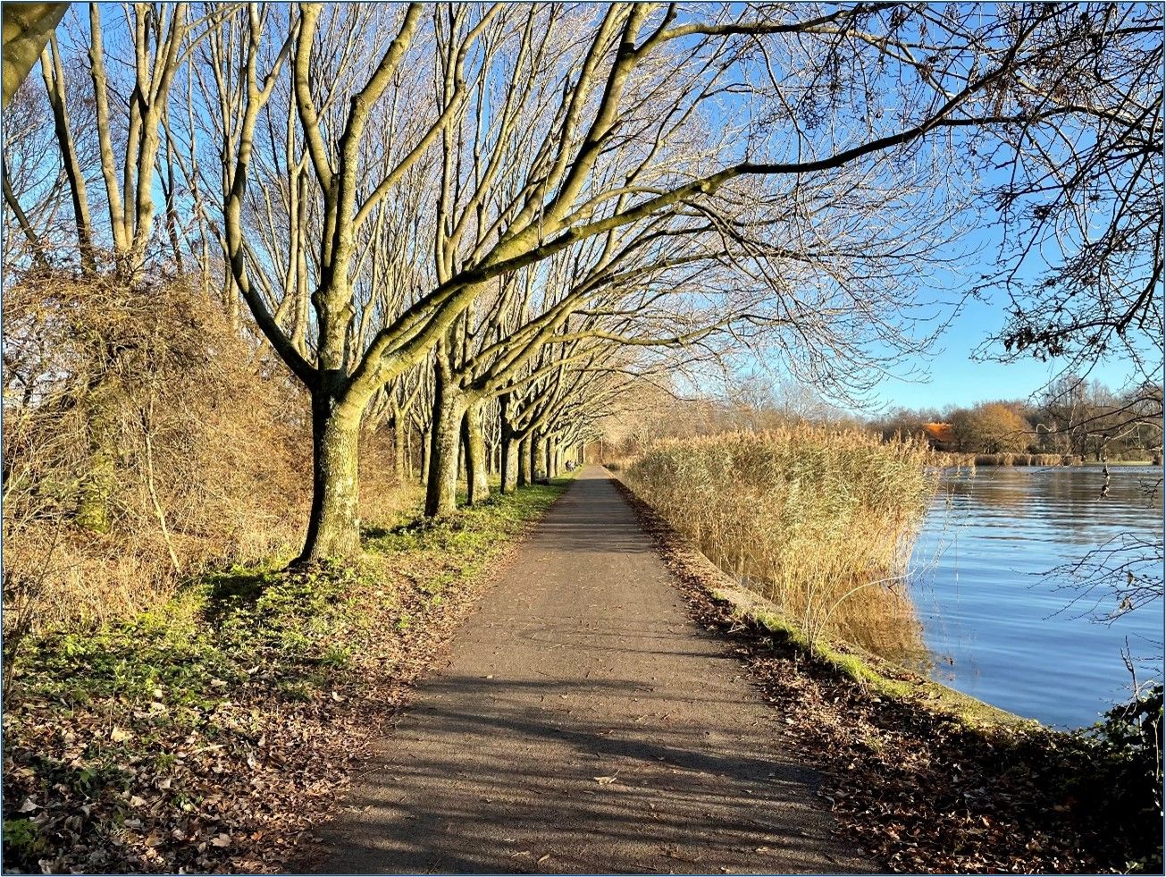 Foto 24 van Saffierstraat 82-A