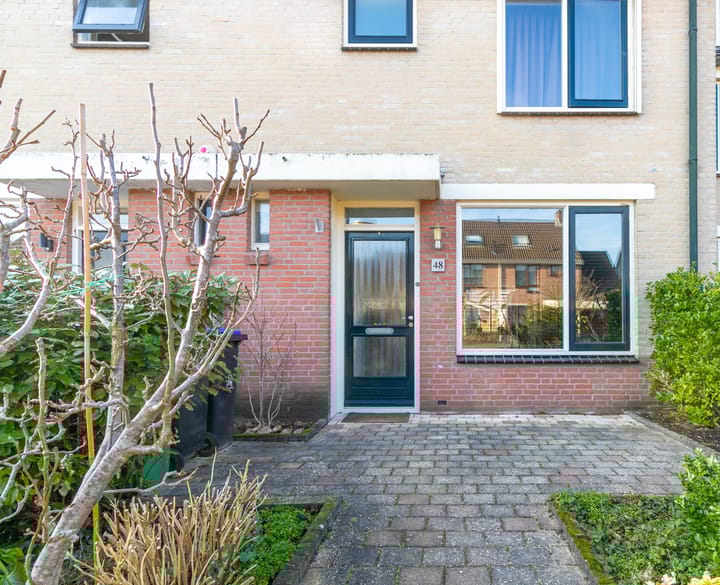 Foto 2 van Rietlanden 48