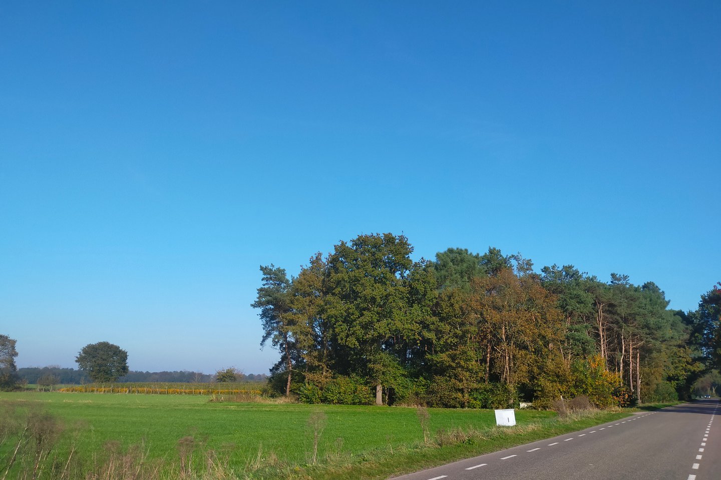 Bekijk foto 4 van Pannenhoefsebaan