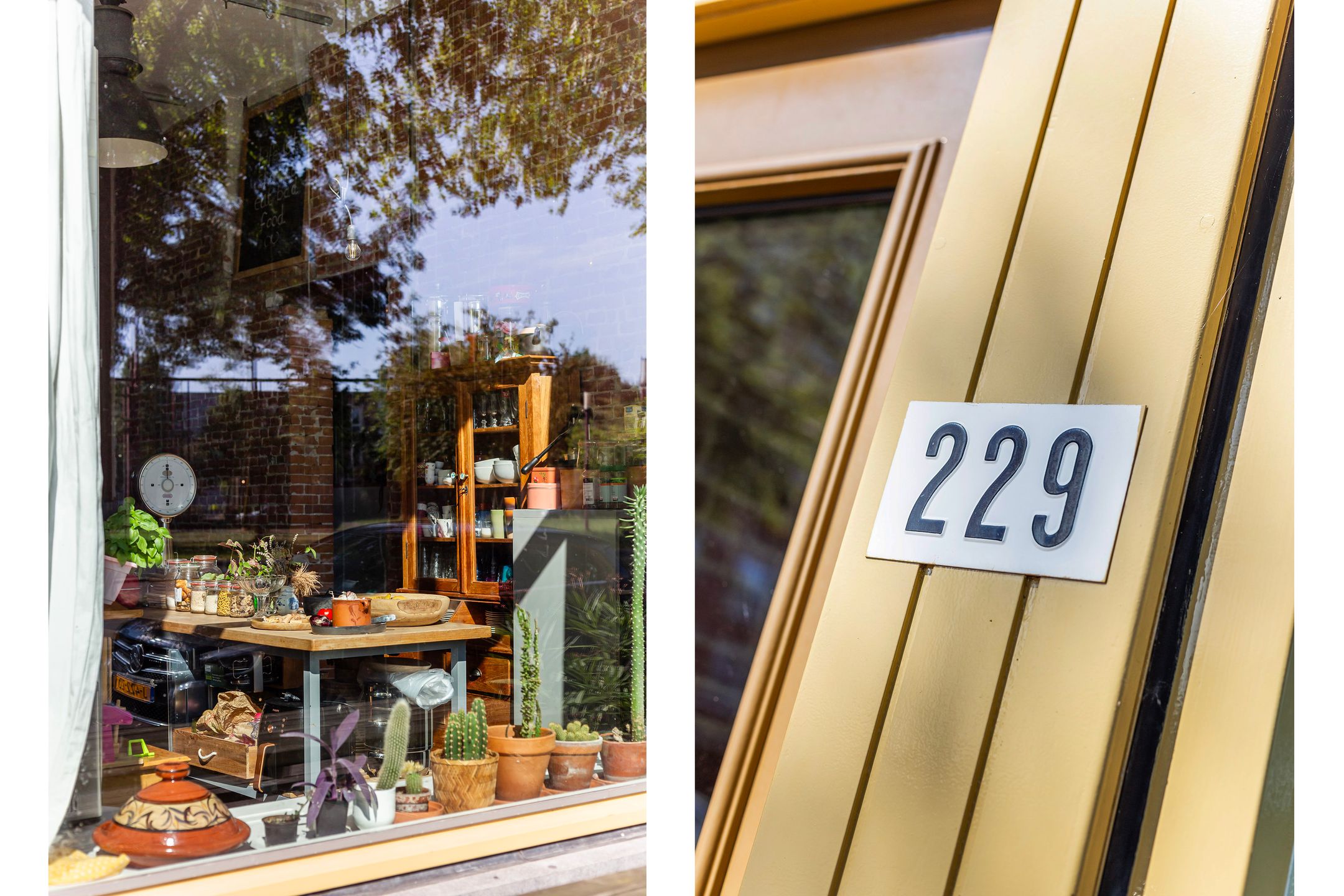 Foto 6 van Tolhuislaan 229