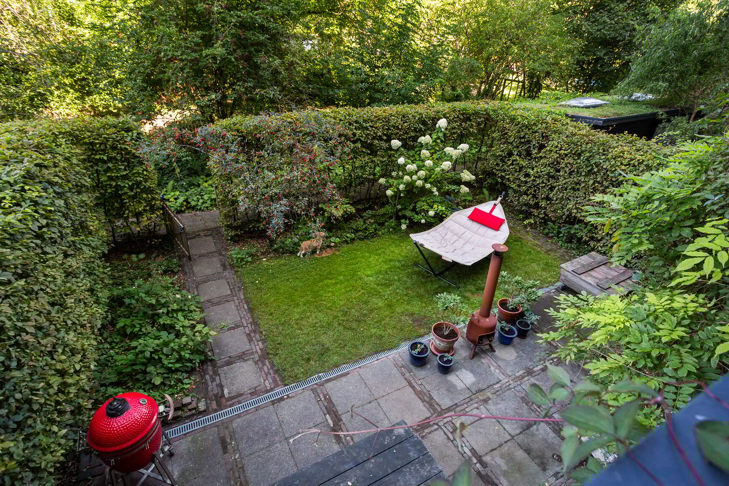 Foto 34 van Tolhuislaan 229