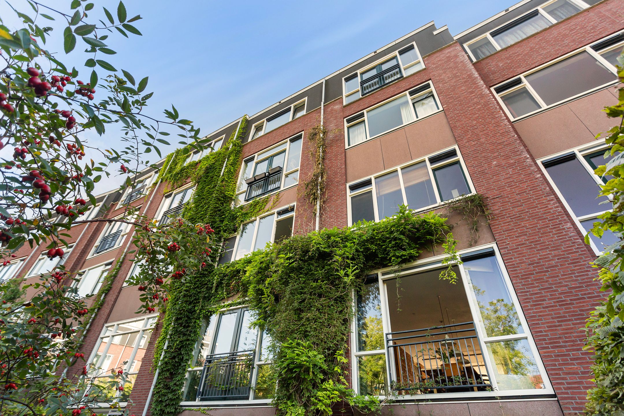 Foto 36 van Tolhuislaan 229