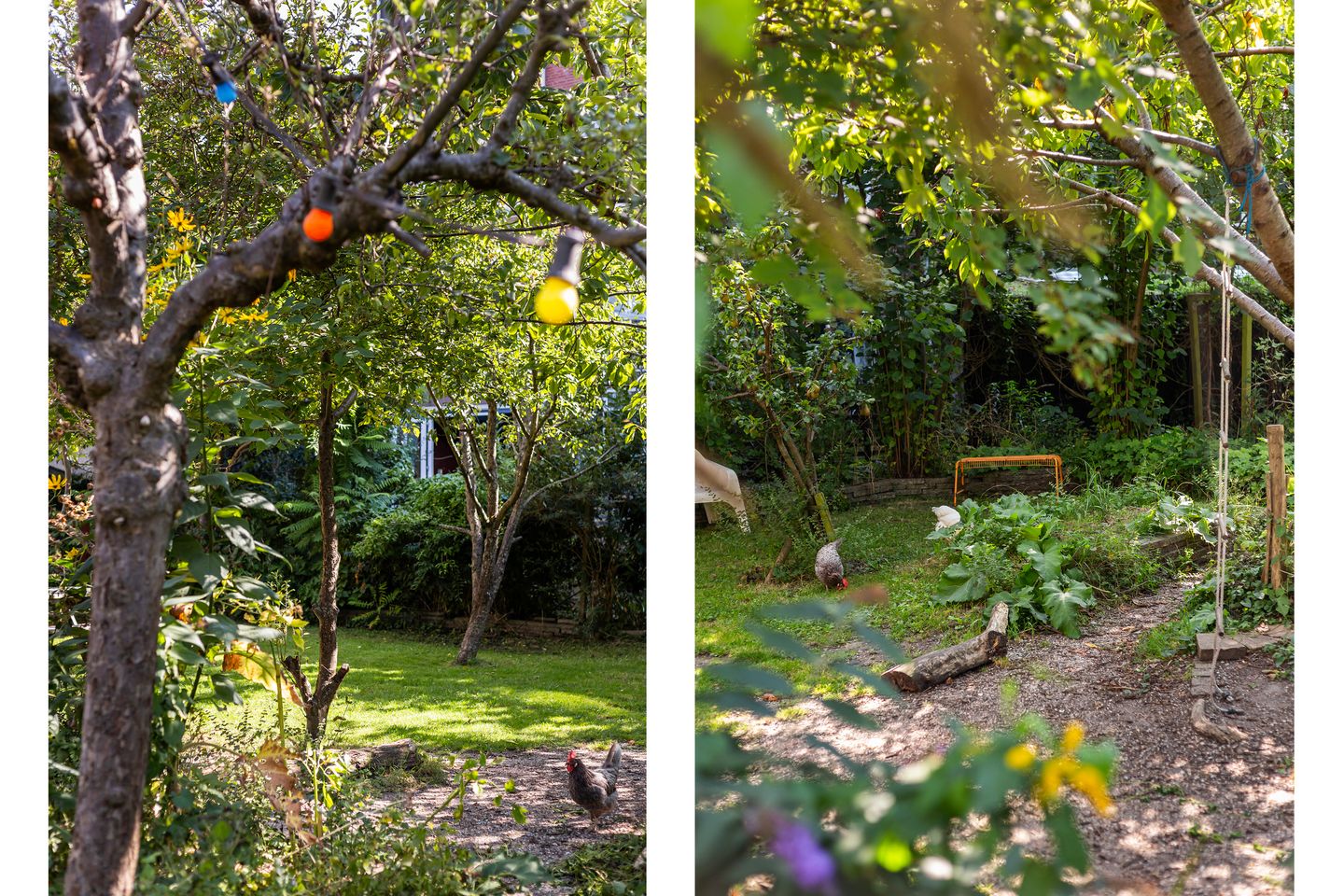 Foto 40 van Tolhuislaan 229