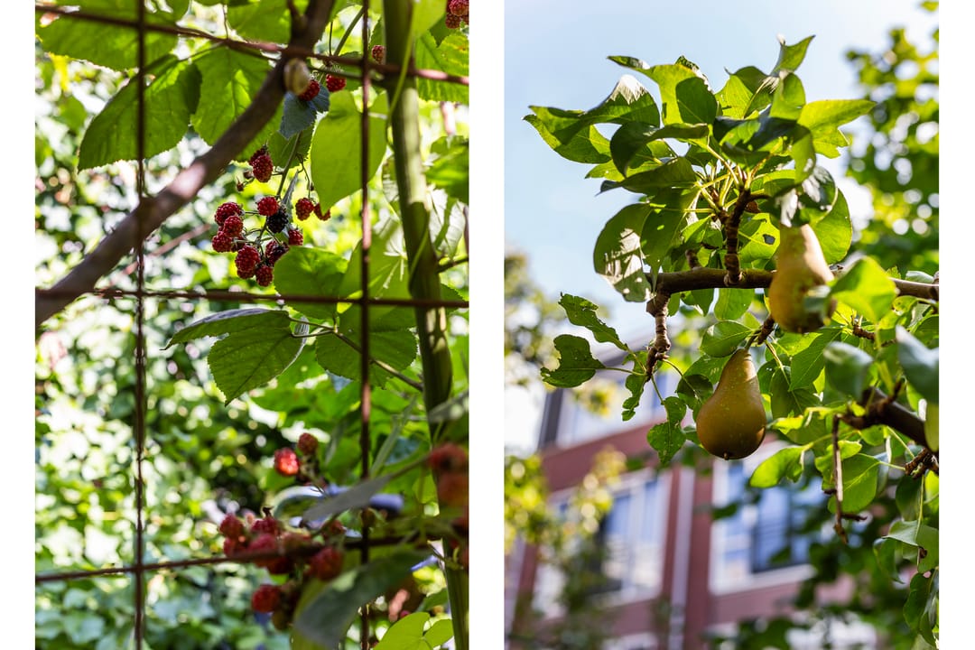 Foto 43 van Tolhuislaan 229