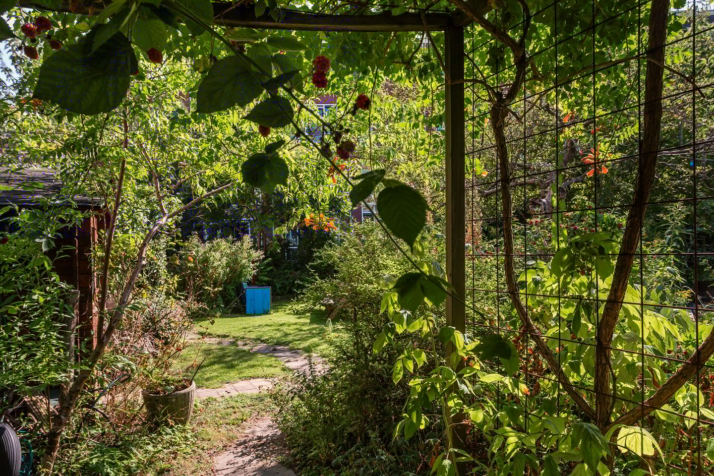 Foto 44 van Tolhuislaan 229