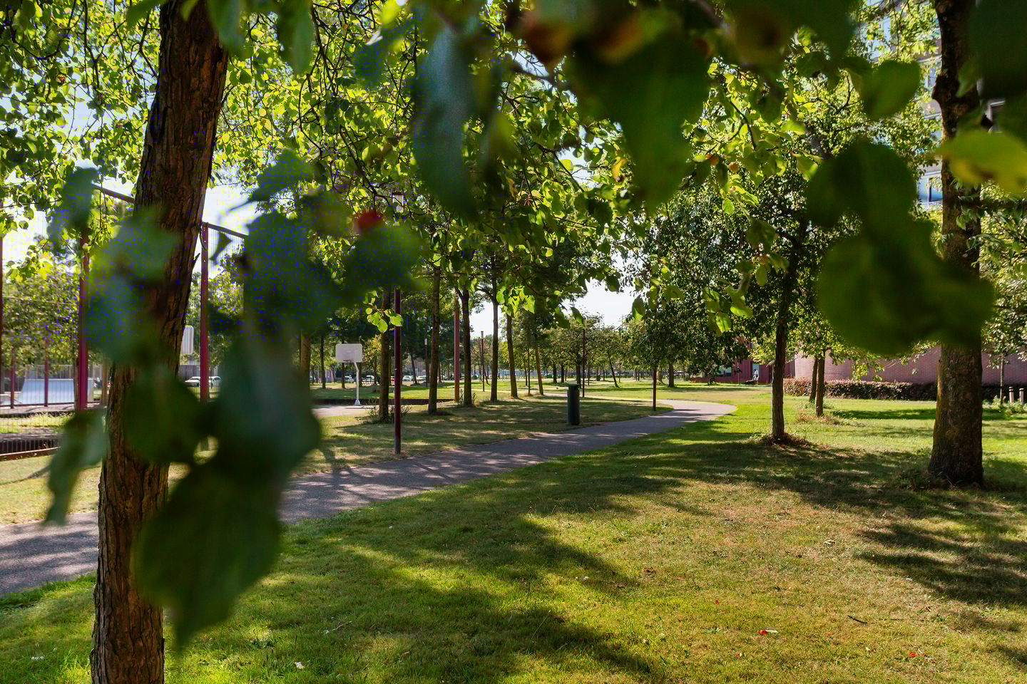 Foto 49 van Tolhuislaan 229