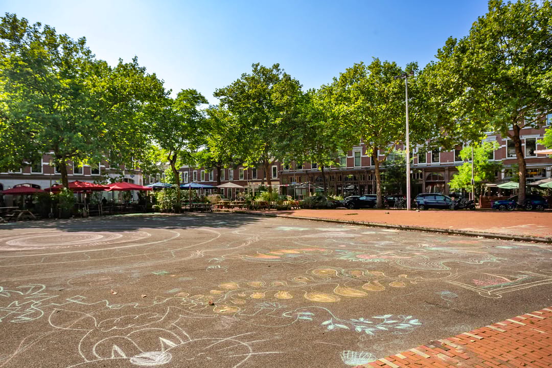 Foto 53 van Tolhuislaan 229