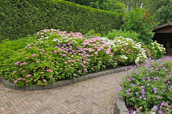 Foto 28 van Noordsingel 9