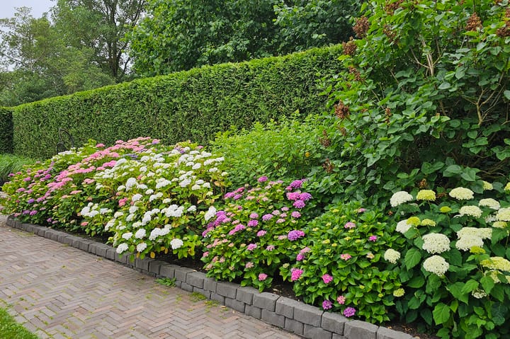 Foto 29 van Noordsingel 9