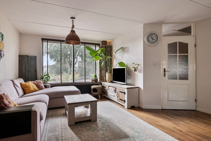 Foto 2 van Plataan 53