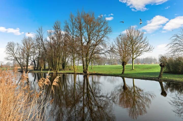 Photo 30 of Leeuwerikplantsoen 8