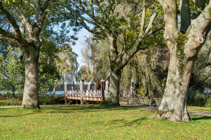 Foto 2 van Kralingse Plaslaan 28