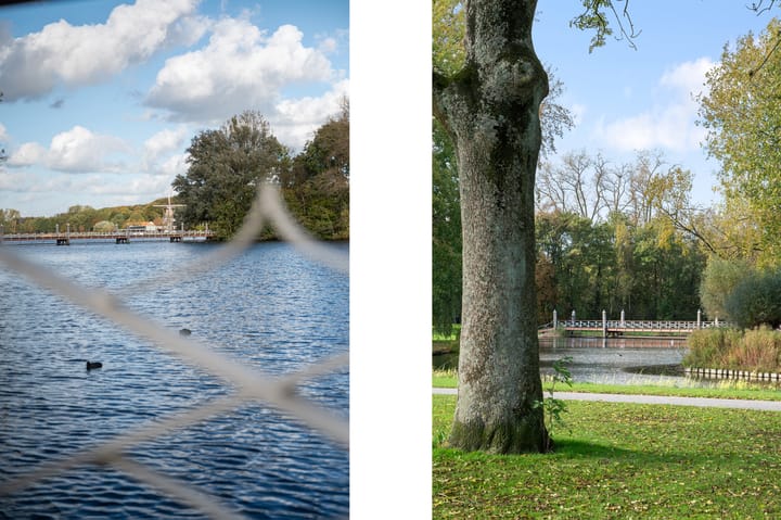 Photo 19 of Kralingse Plaslaan 28