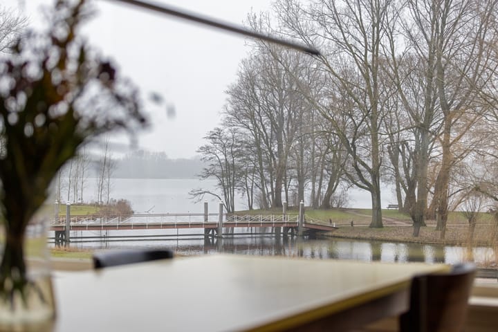 Photo 24 of Kralingse Plaslaan 28