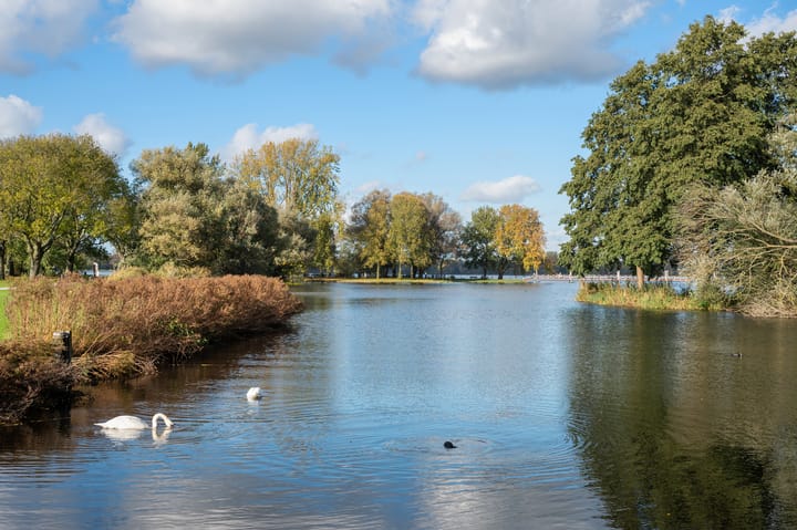 Photo 41 of Kralingse Plaslaan 28