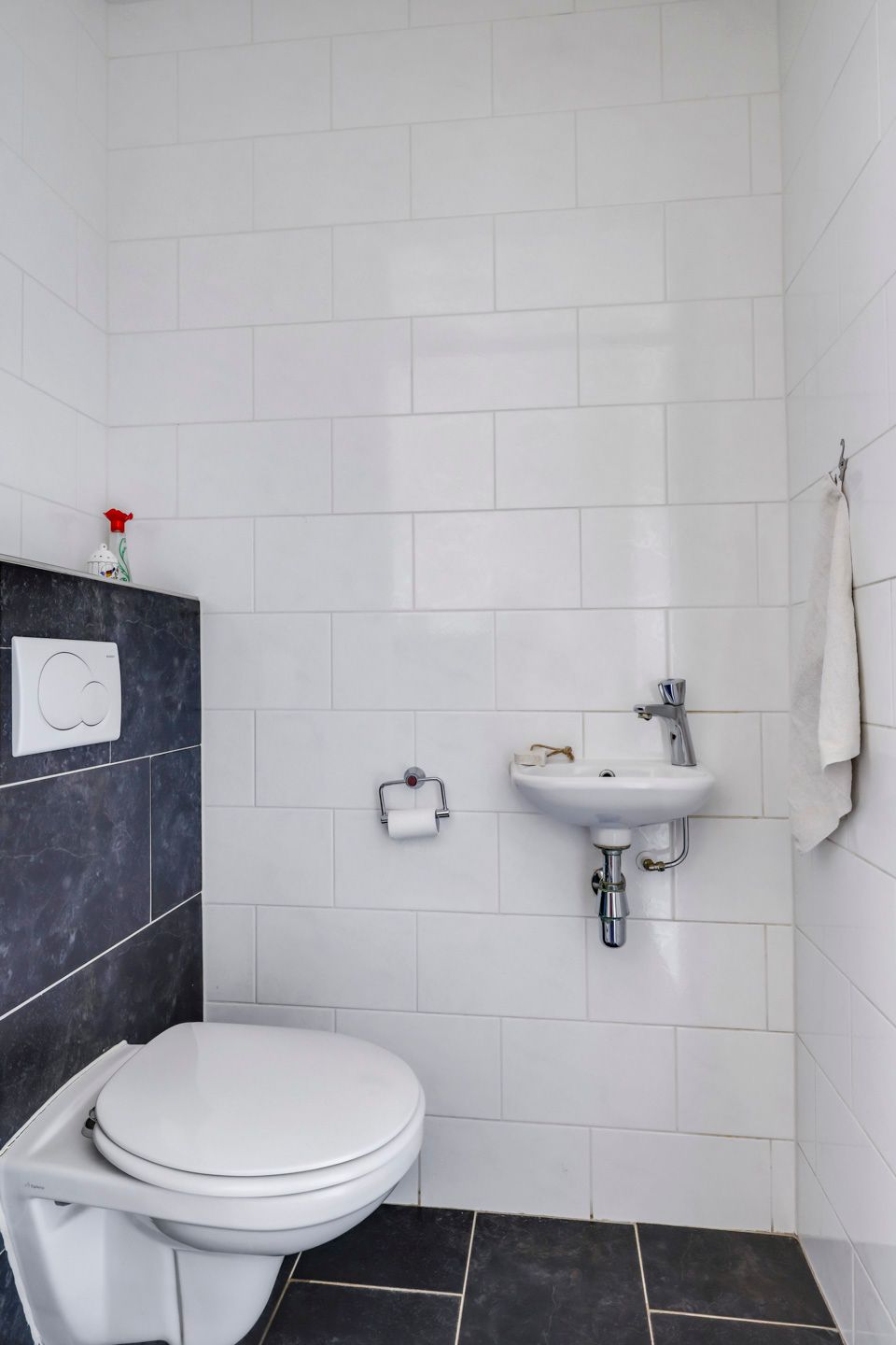 Foto 7 van Stegestuk 3