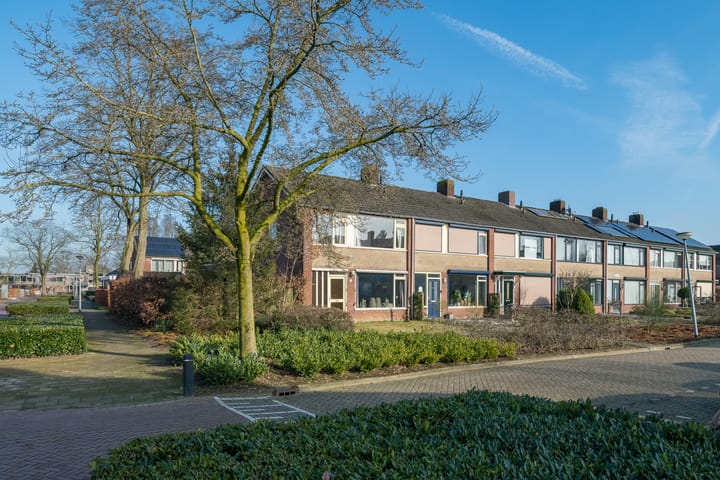 Foto 5 van Molenkamp 60