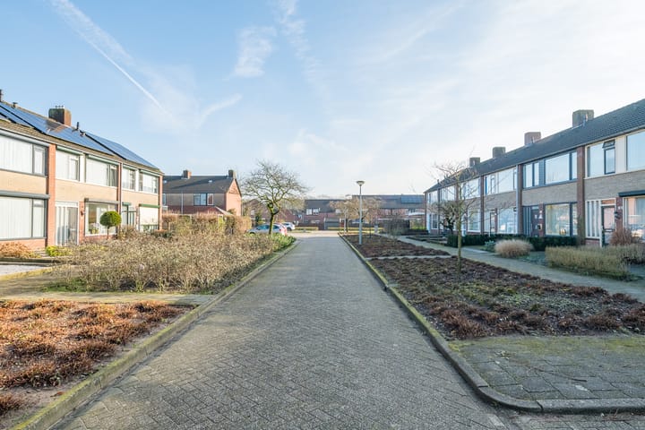 Foto 6 van Molenkamp 60