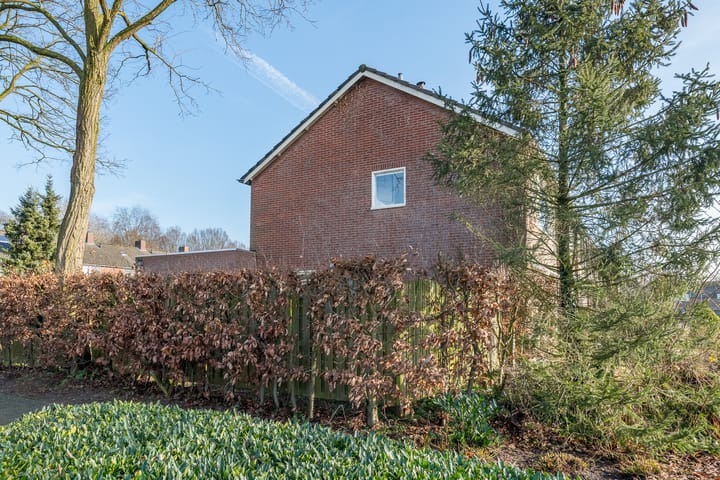 Foto 7 van Molenkamp 60