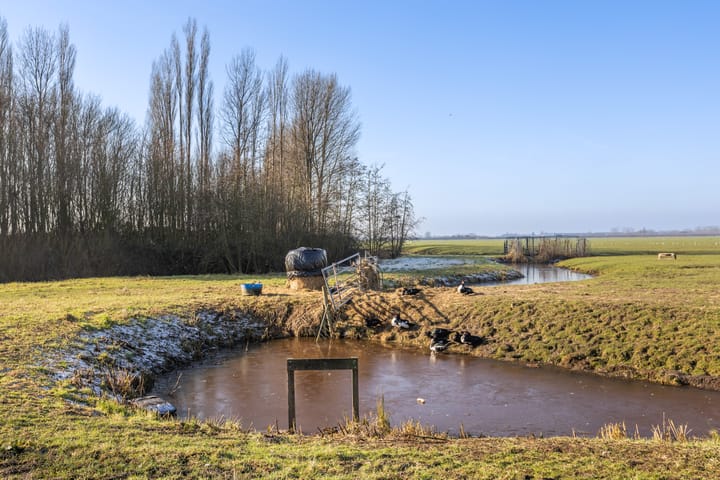 Foto 54 van Klaproosweide 5