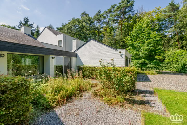 Photo 30 of Lijsterbeslaan 10