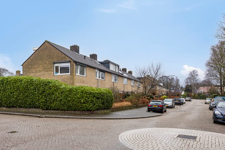 Foto 40 van Doornenburg 9