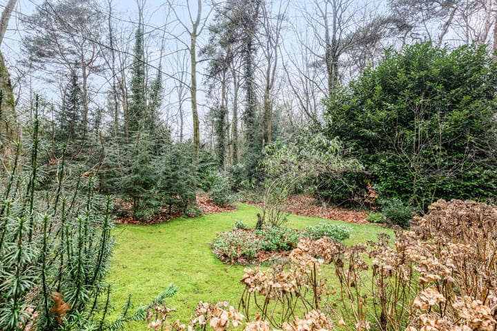 Foto 3 van Dortherdijk 31