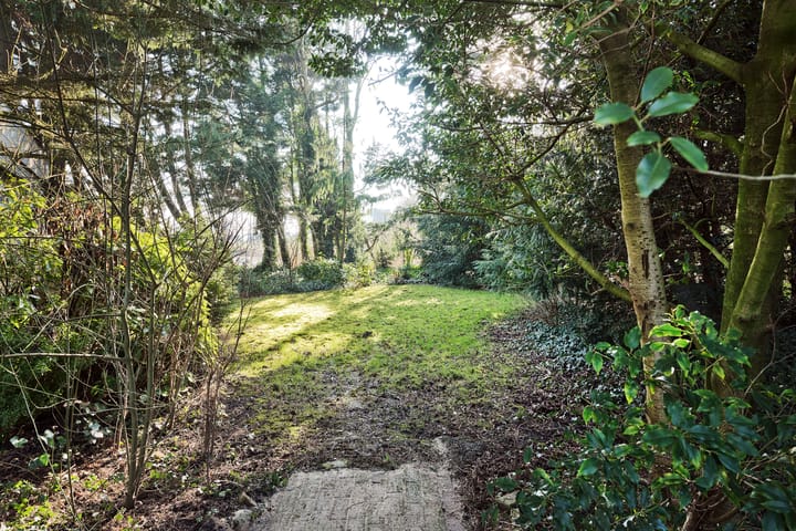 Foto 47 van Hornweg 126