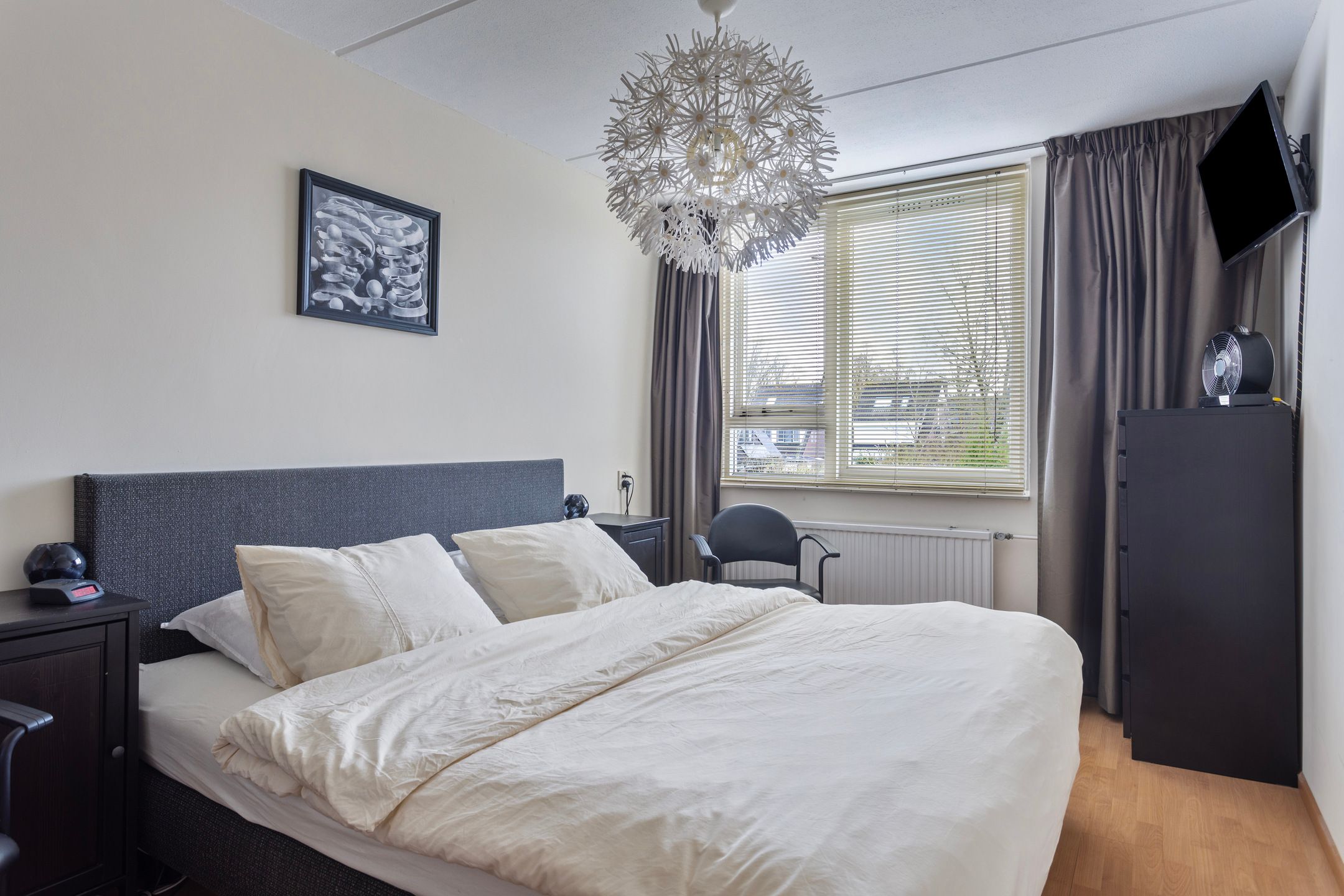 Foto 12 van Hoogmeer 2432