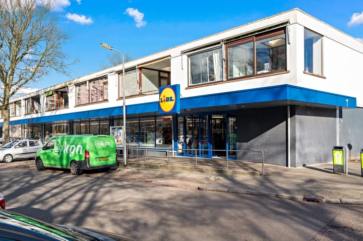 Photo 24 of Roland Holstlaan 988