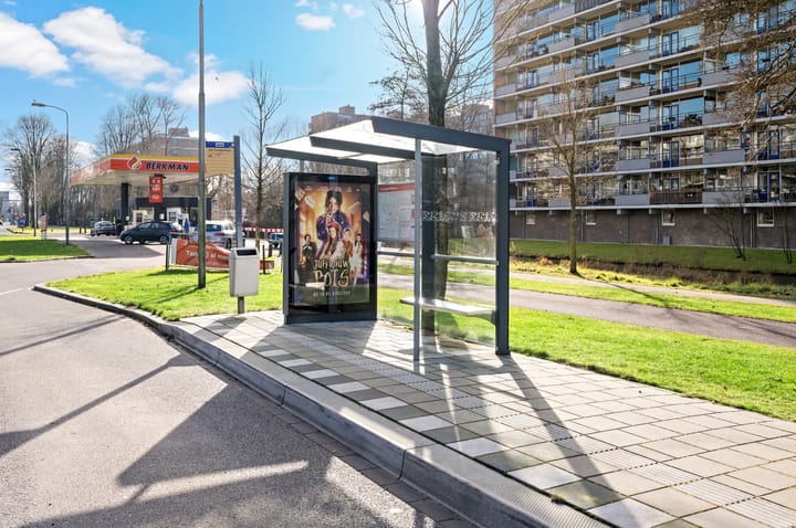 Photo 25 of Roland Holstlaan 988