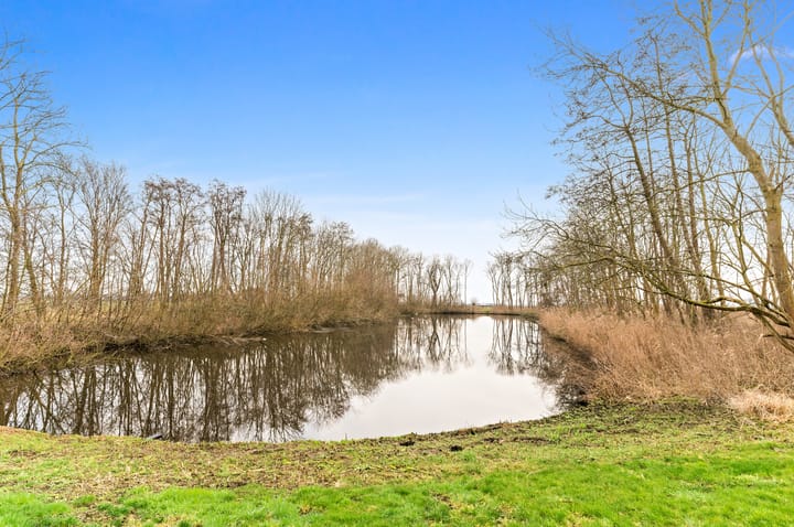 Foto 49 van Haagwijk 28