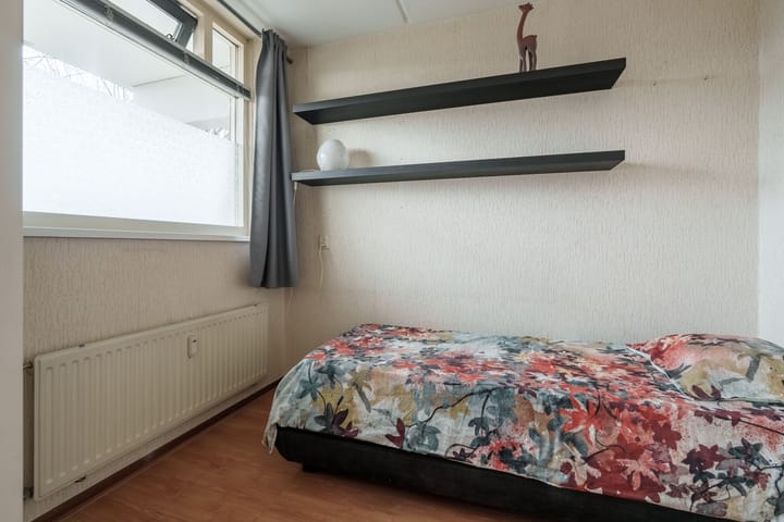 Foto 15 van Specht 15