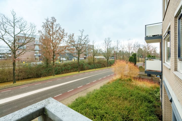 Foto 19 van Specht 15