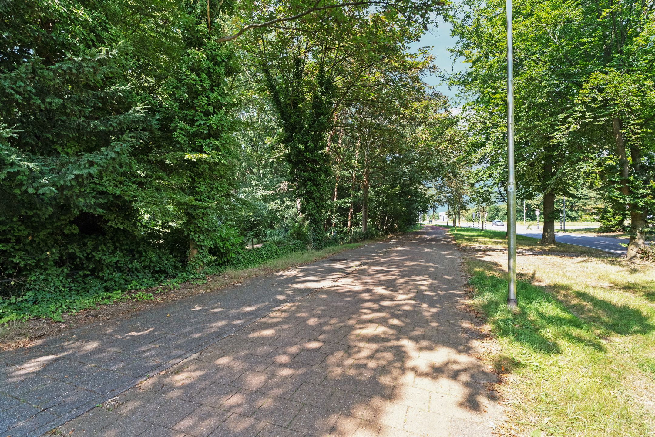 Foto 6 van Weg door Jonkerbos 63