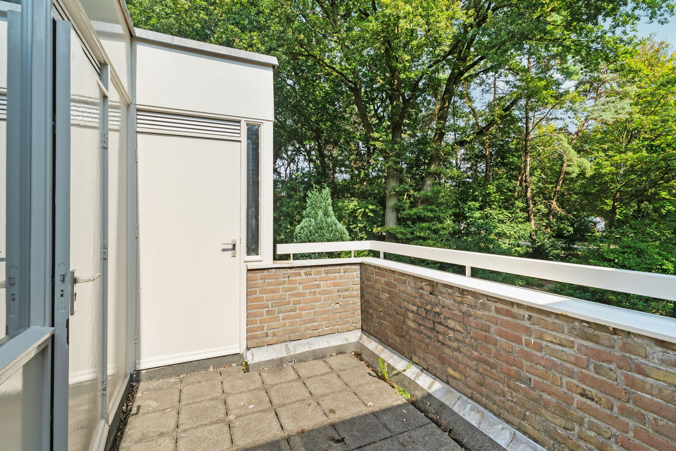 Foto 30 van Weg door Jonkerbos 63