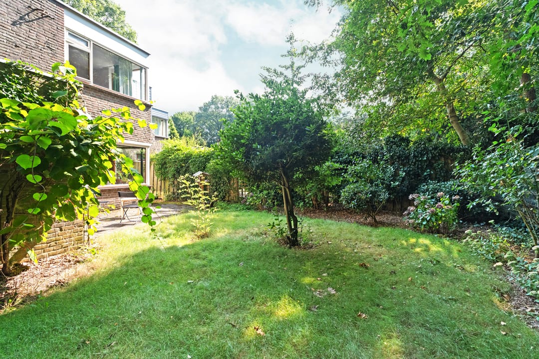 Foto 41 van Weg door Jonkerbos 63