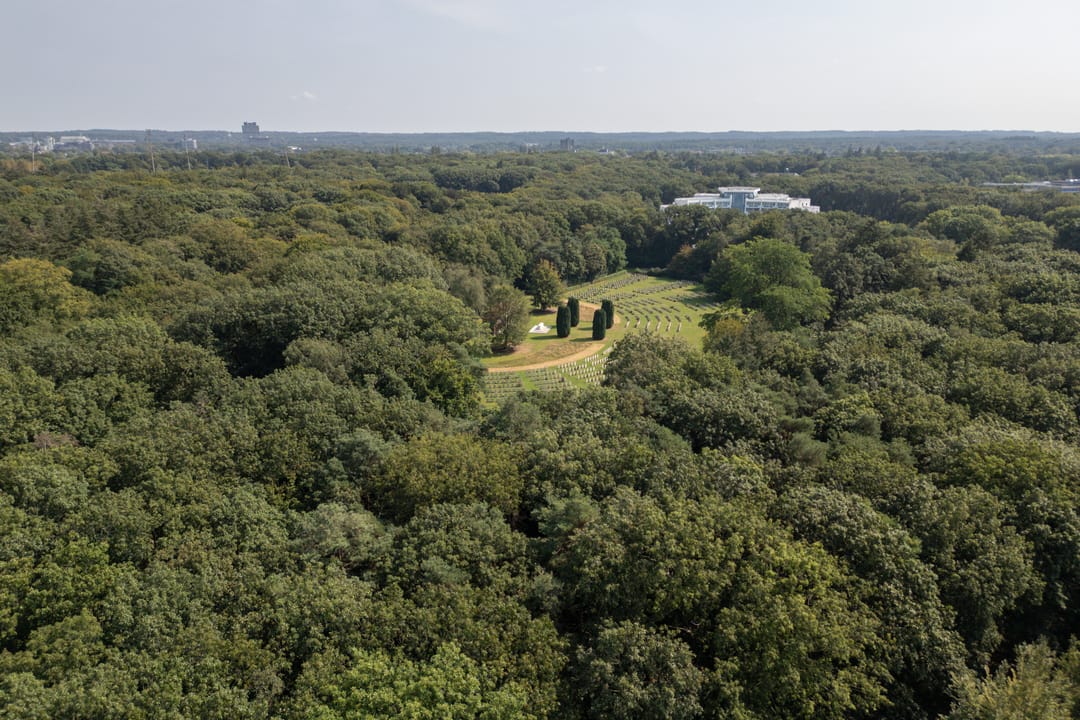 Foto 47 van Weg door Jonkerbos 63