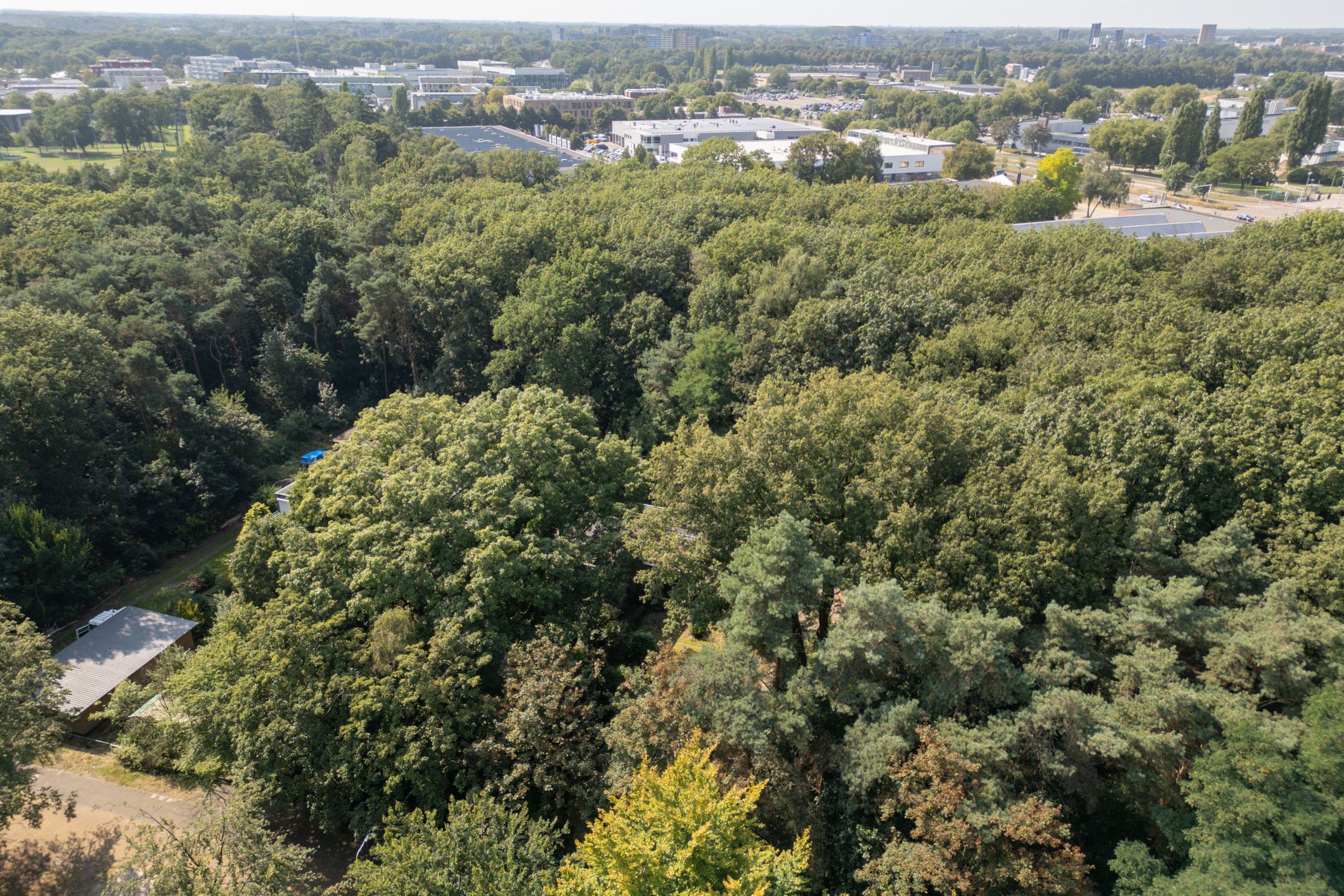 Foto 48 van Weg door Jonkerbos 63