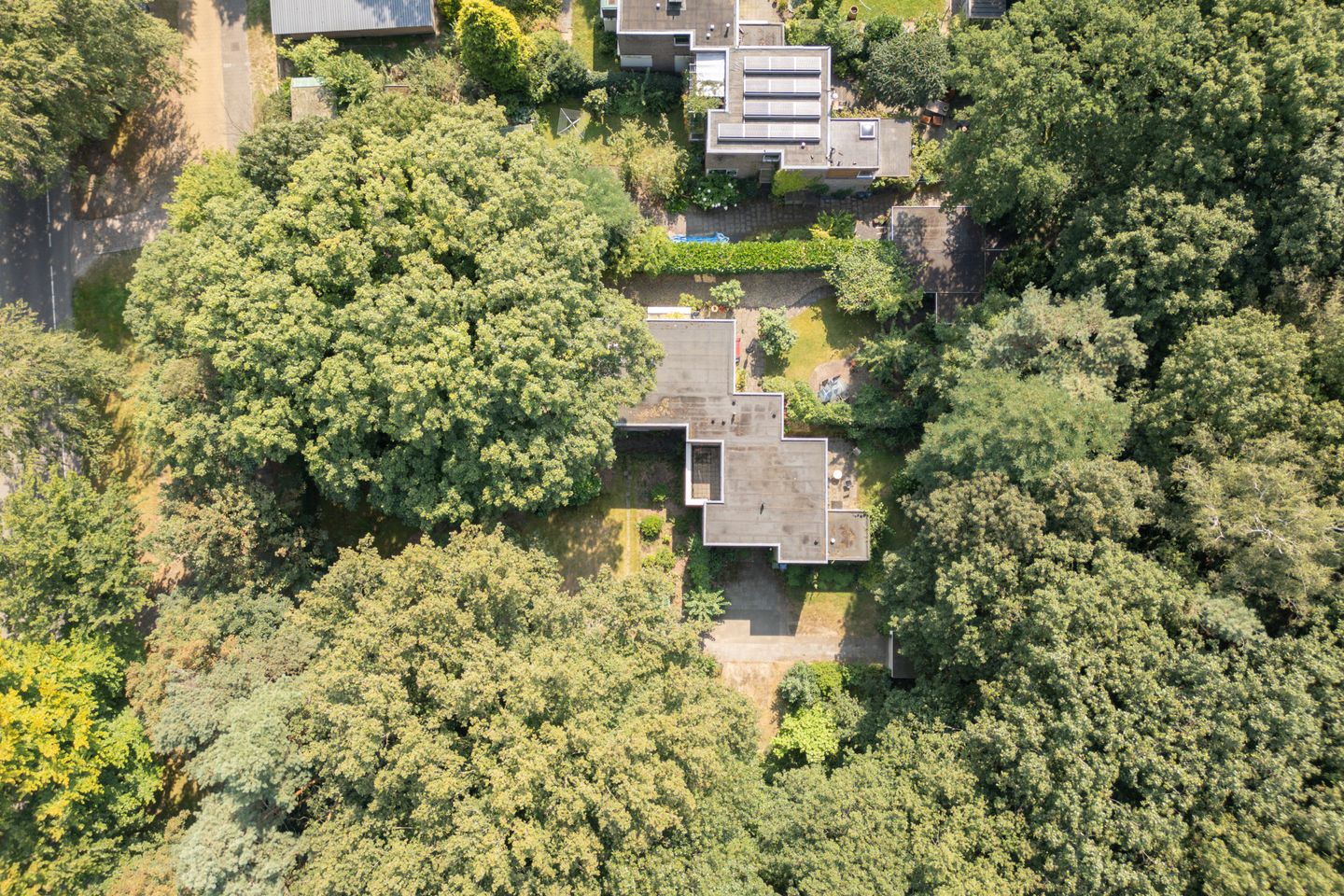 Foto 50 van Weg door Jonkerbos 63