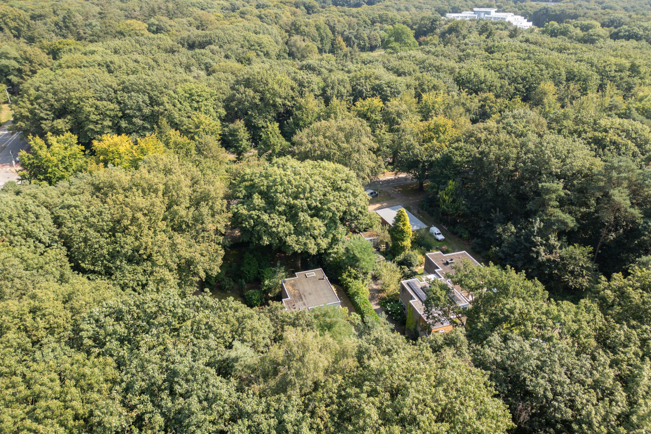 Foto 51 van Weg door Jonkerbos 63