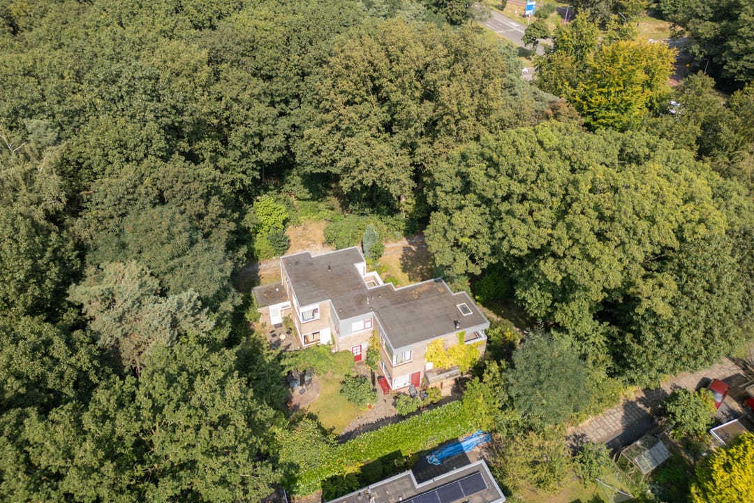 Foto 53 van Weg door Jonkerbos 63