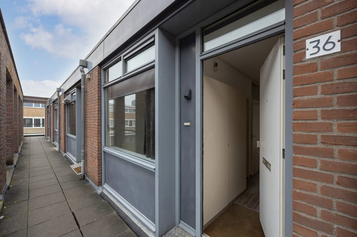 Photo 5 of Van Bergenplein 36