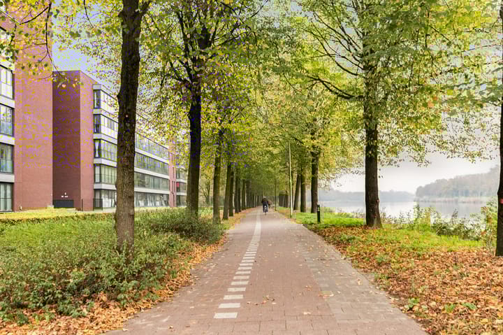 Foto 30 van Draaiom 36