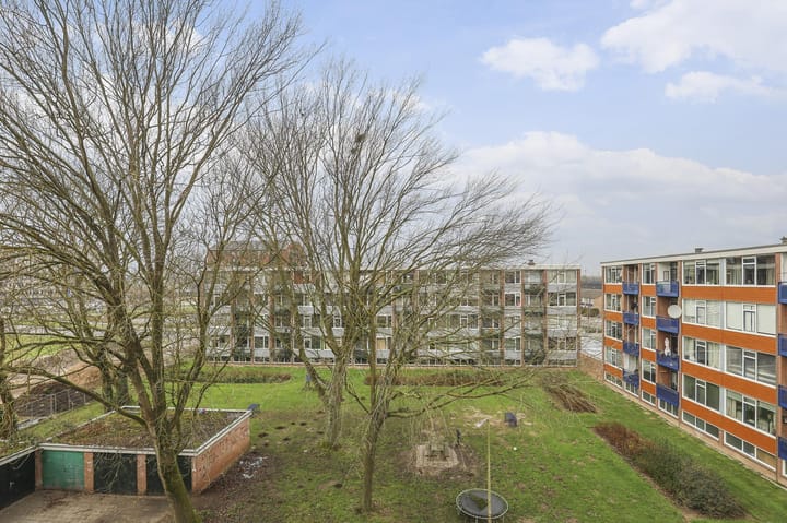 Foto 16 van Maasstraat 392