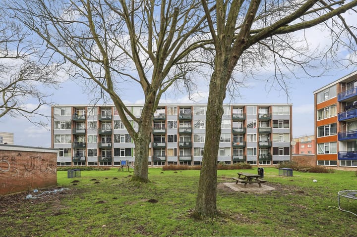 Foto 19 van Maasstraat 392